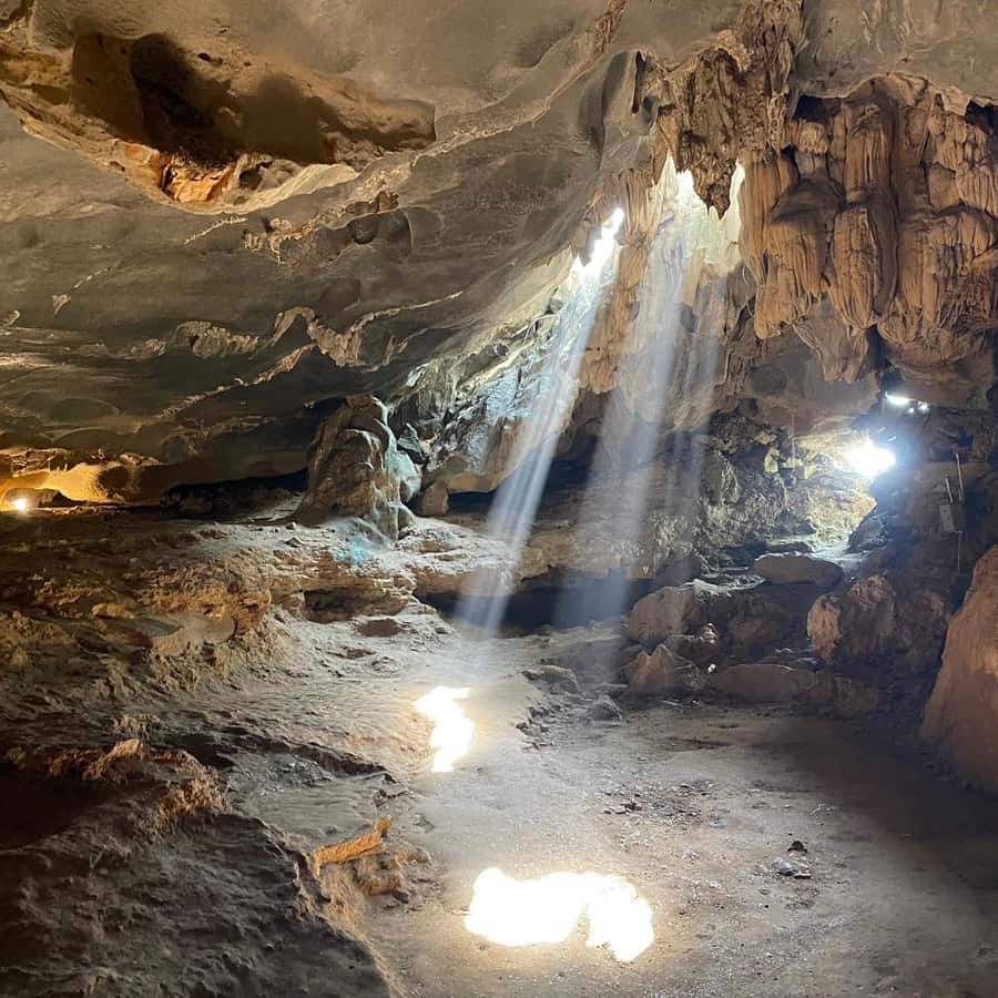 Galería de fotos para redes