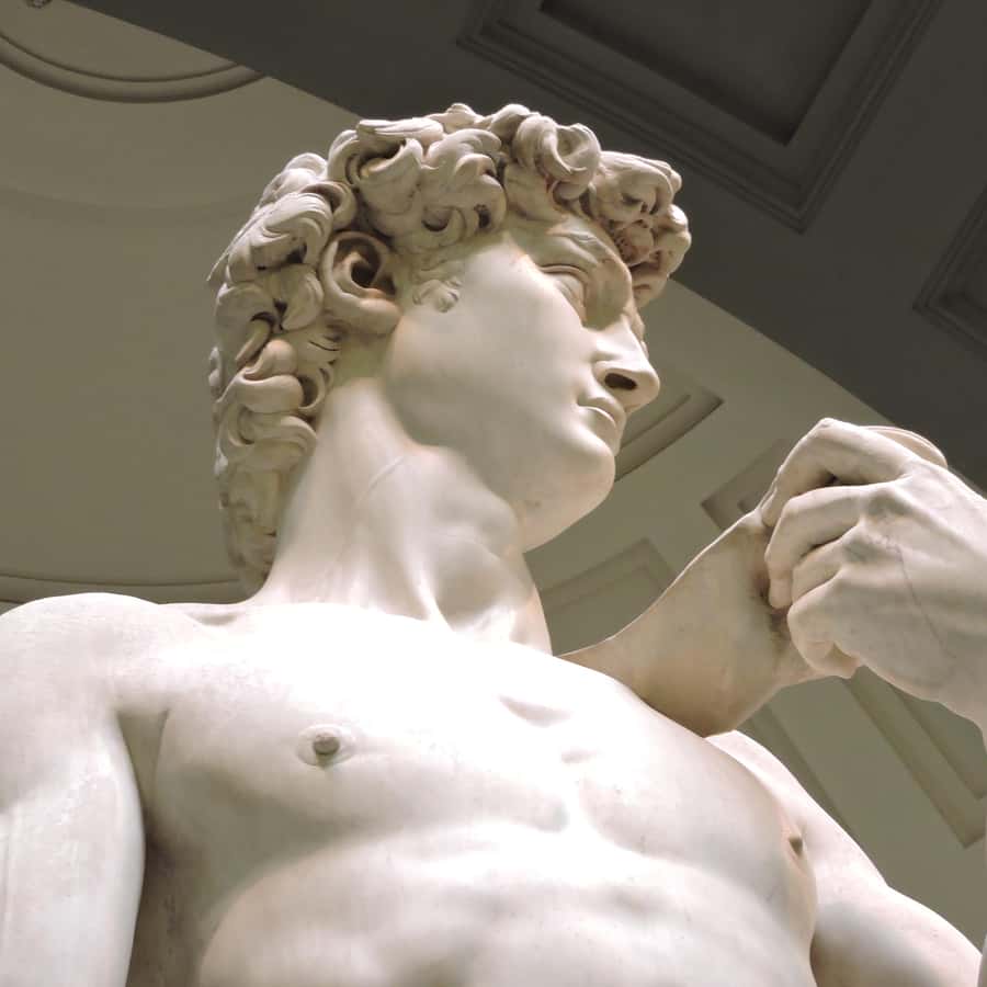 Galerie média