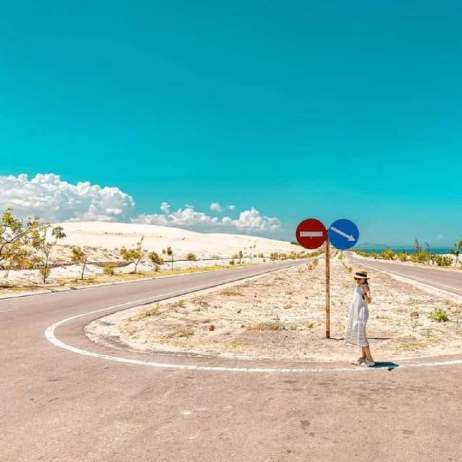 Galería de fotos para redes