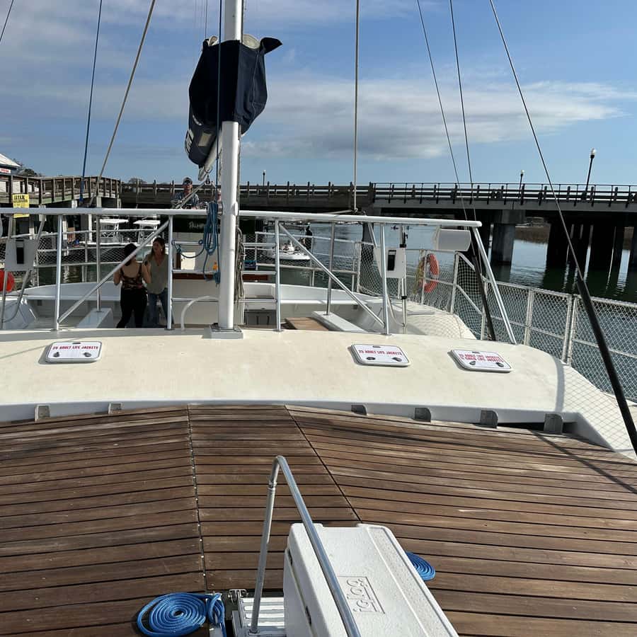 Charleston Afternoon Sail - Lux Catamaran w/Seating & Shade