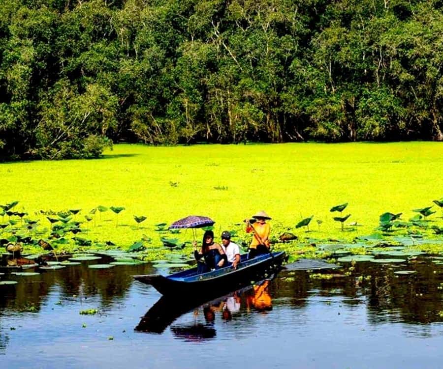Galería de fotos para redes
