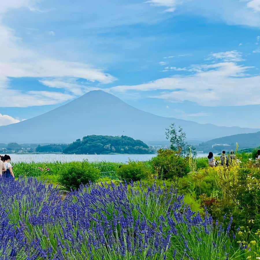 From Tokyo: Mount Fuji Four Famous Scenic Spots Day Tour