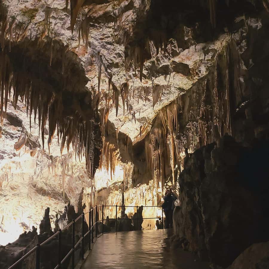 Galería de fotos para redes