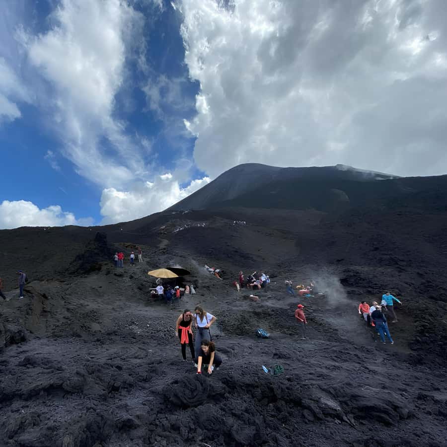 Galería de fotos para redes