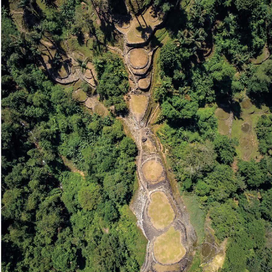 Colagem de mídia