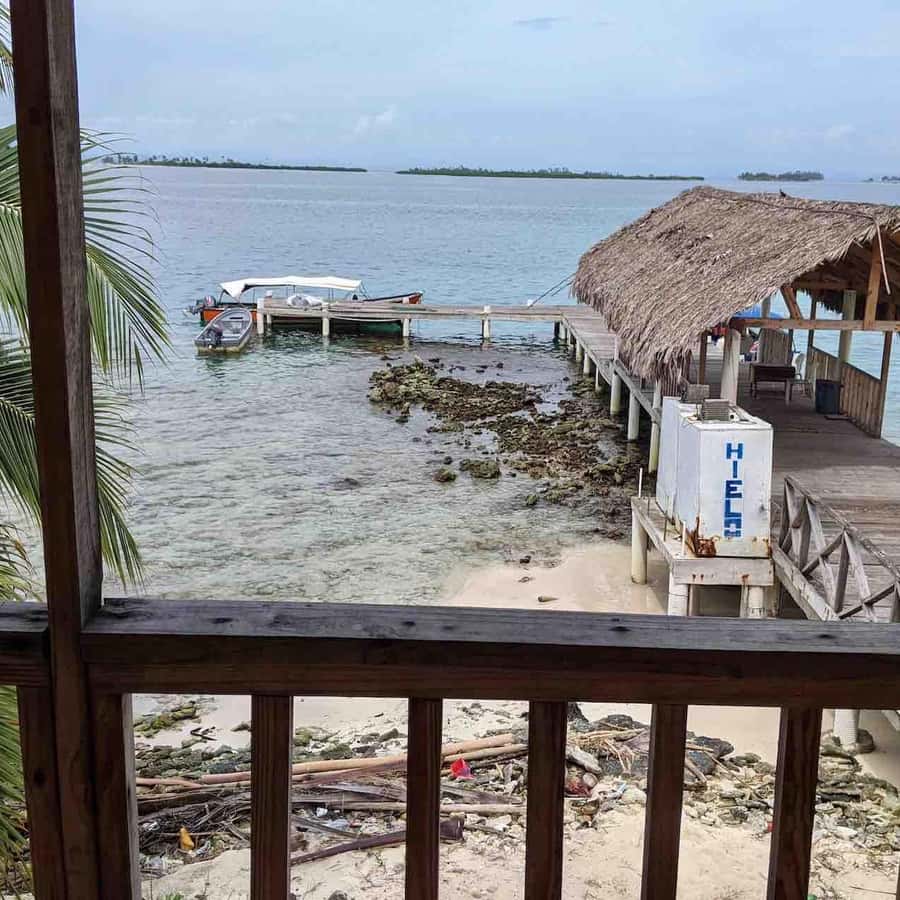 Galería de fotos para redes