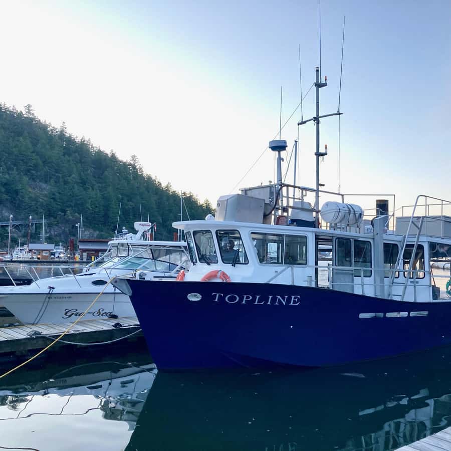 Vancouver: Sunset Boat Cruise with Complementary Bubbly