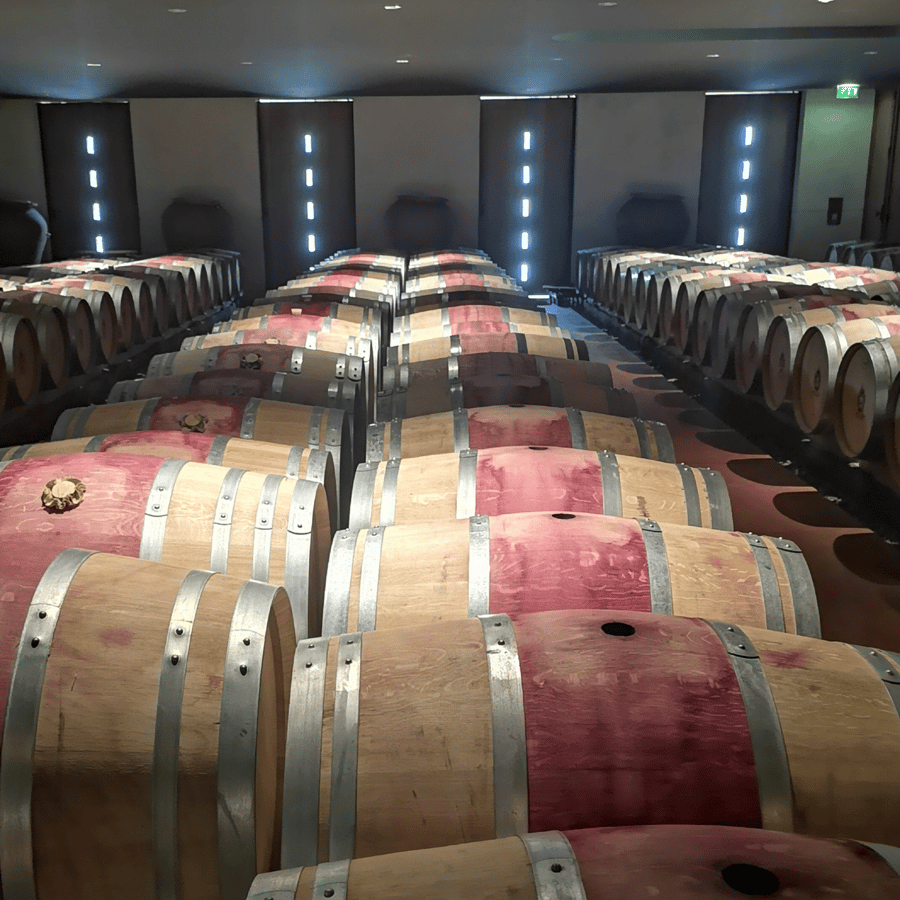 Ruta del vino de Médoc desde Burdeos: 2 bodegas y 6 vinos | GetYourGuide, image size:900x900