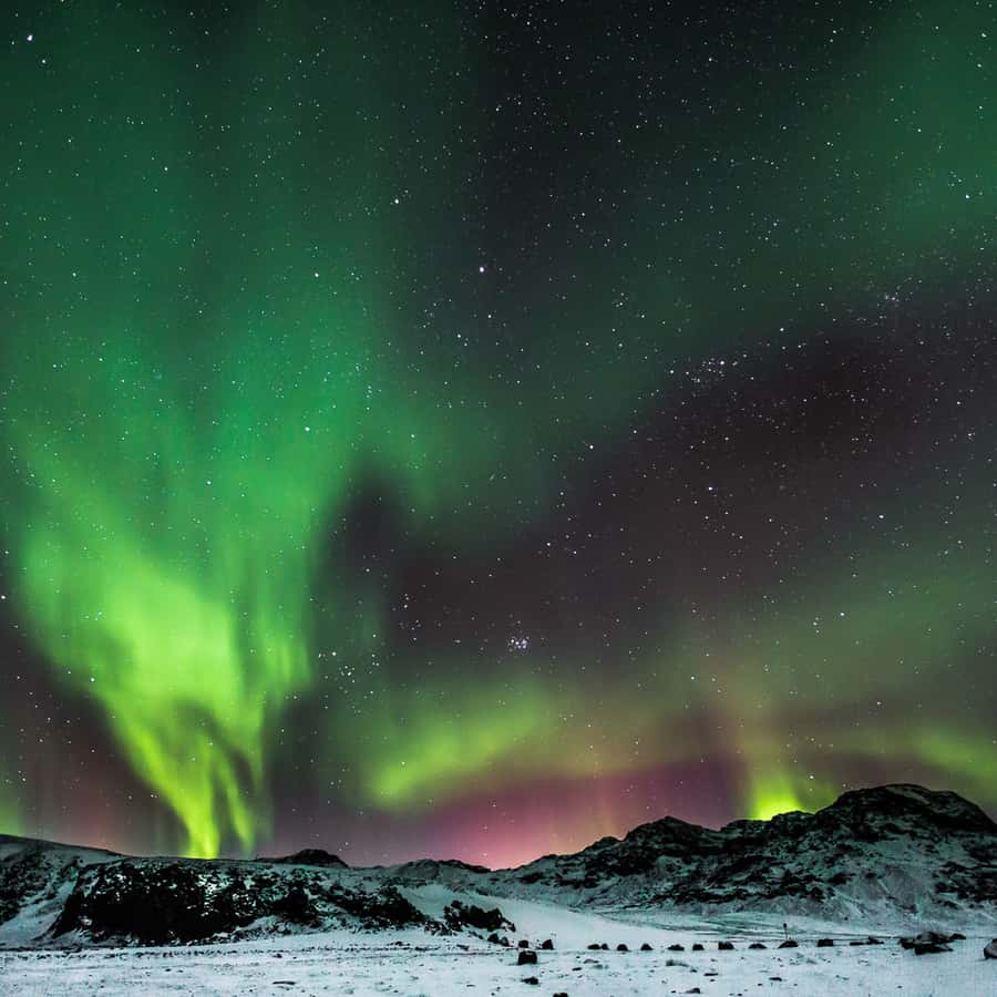 From Reykjavik: Northern Lights Tour with Lifetime Guarantee