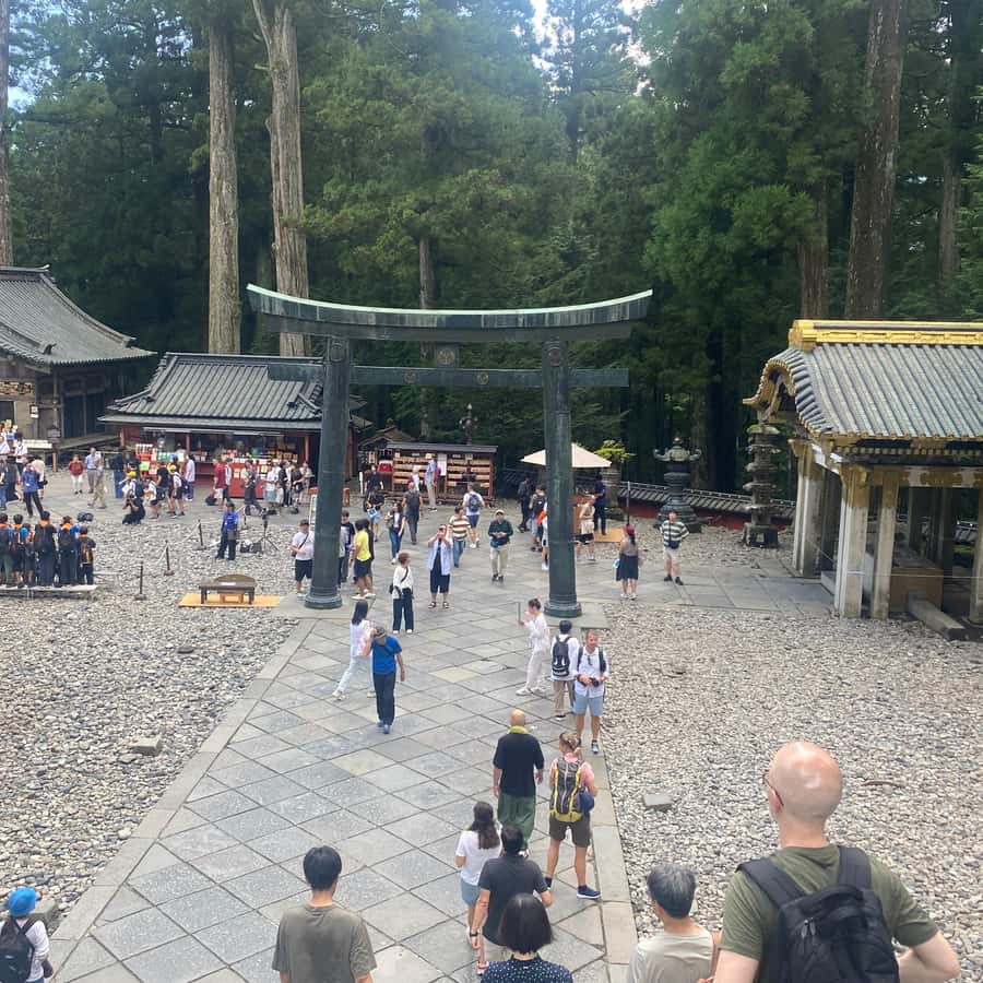 メディア コラージュ