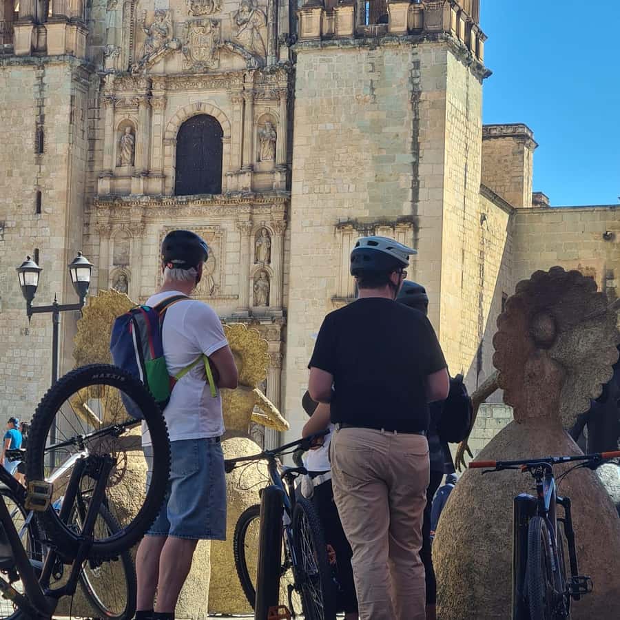 Galería de fotos para redes