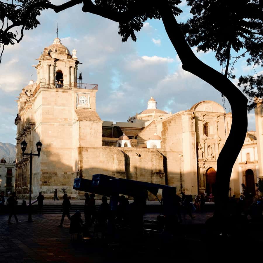 Galería de fotos para redes
