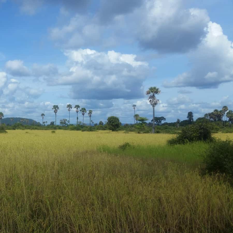 Colagem de mídia