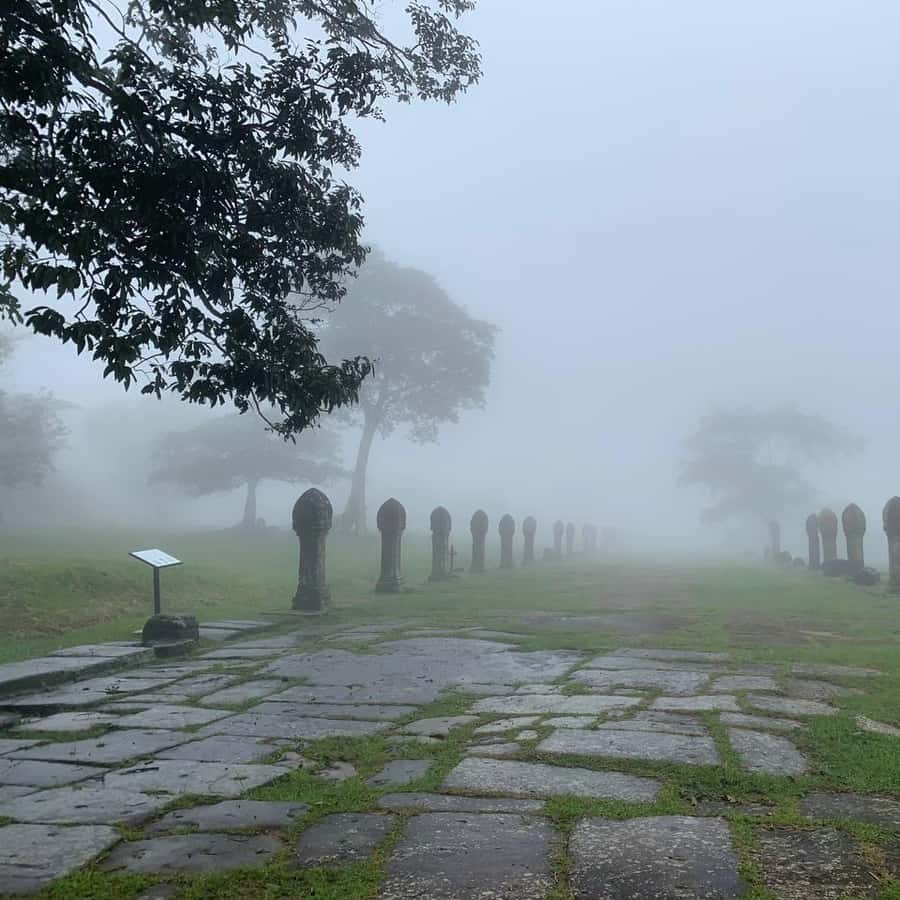 Colagem de mídia