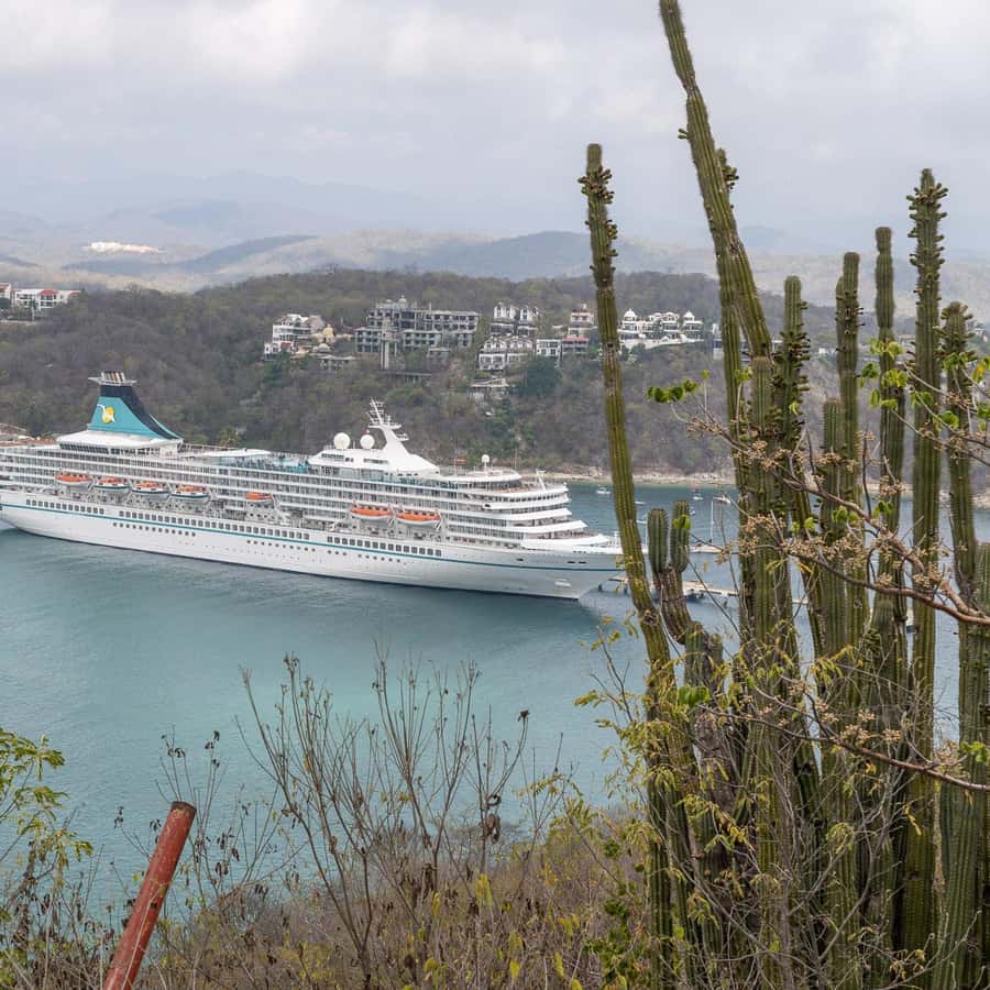 Galería de fotos para redes