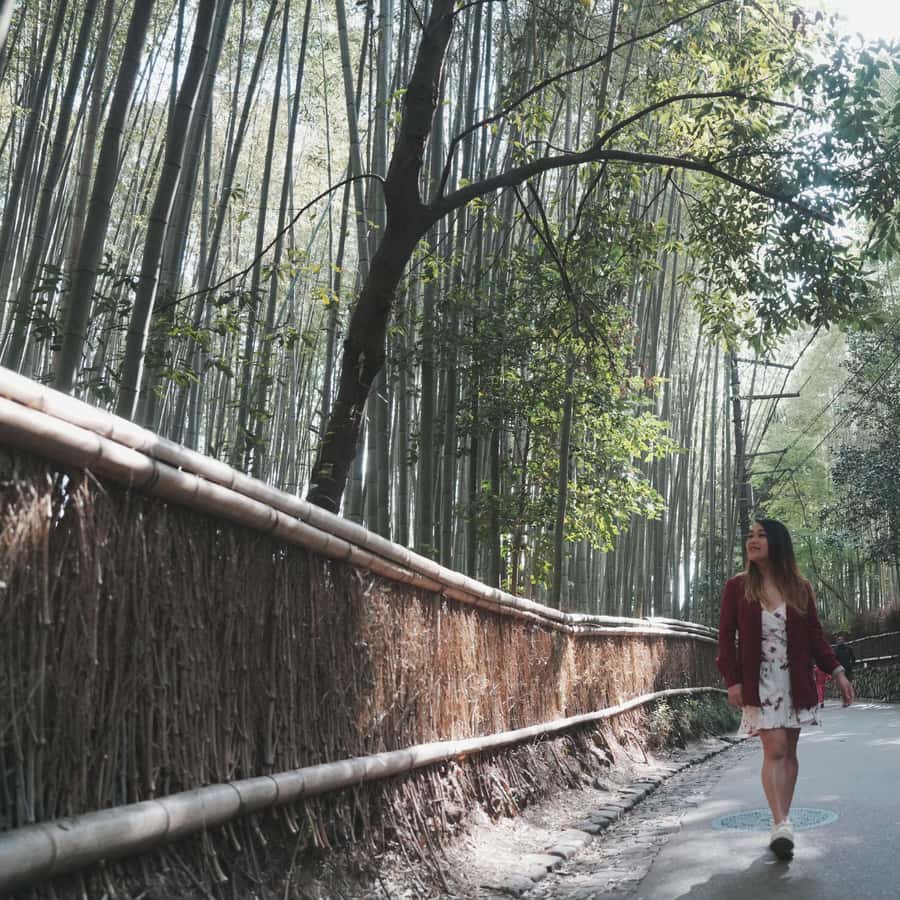 京都の見どころと名所を地元ガイドとカスタマイズ | GetYourGuide 京都の見どころと名所を地元ガイドとカスタマイズ | GetYourGuide