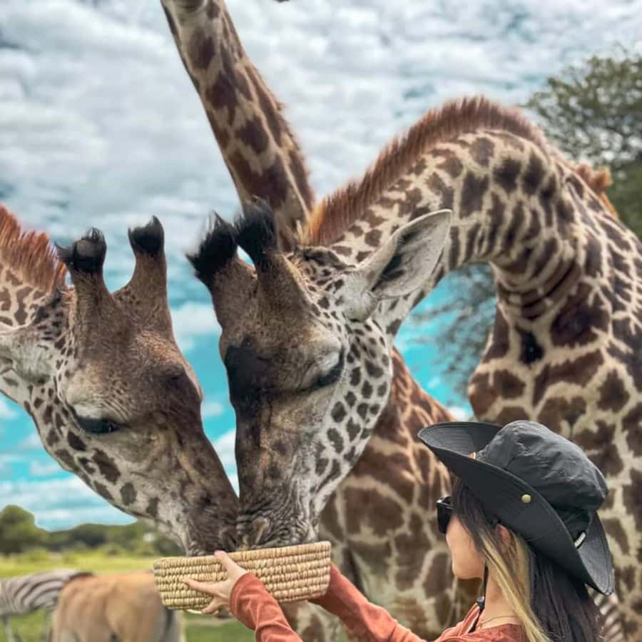 Galería de fotos para redes