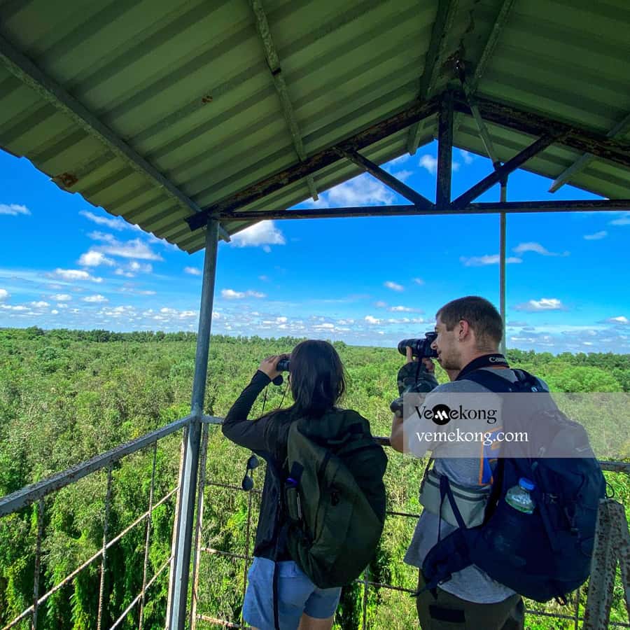 Galería de fotos para redes