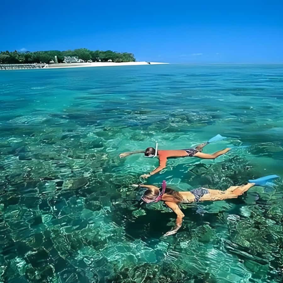 Galería de fotos para redes