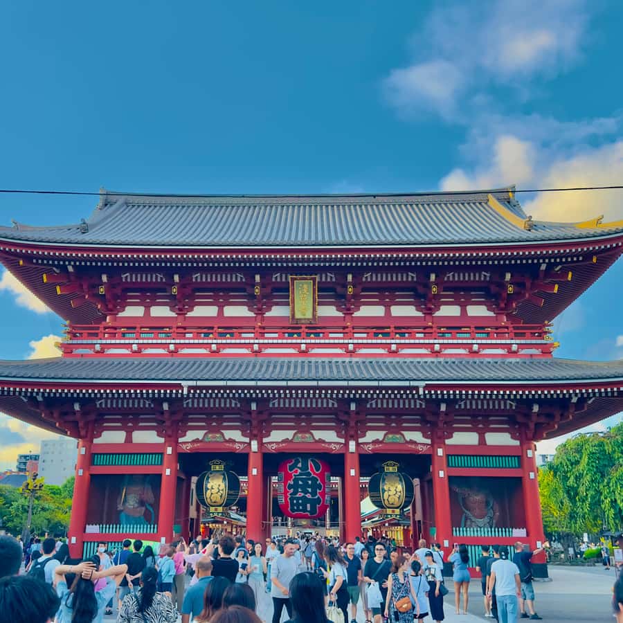 メディア コラージュ