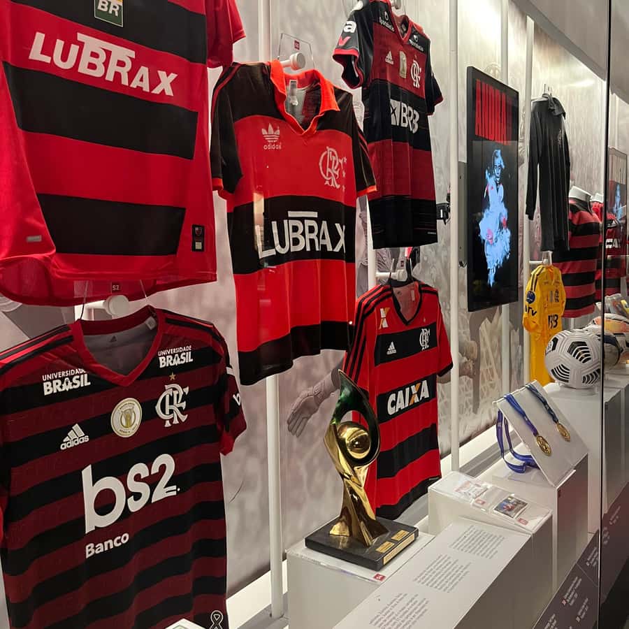 Río de Janeiro: Entrada Museo Flamengo GetYourGuide