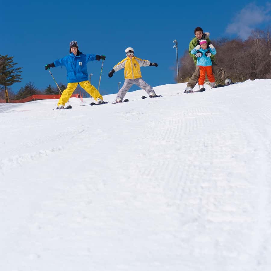 From Tokyo: Fujiyama Snow Resort Yeti Winter Ski Day Tour
