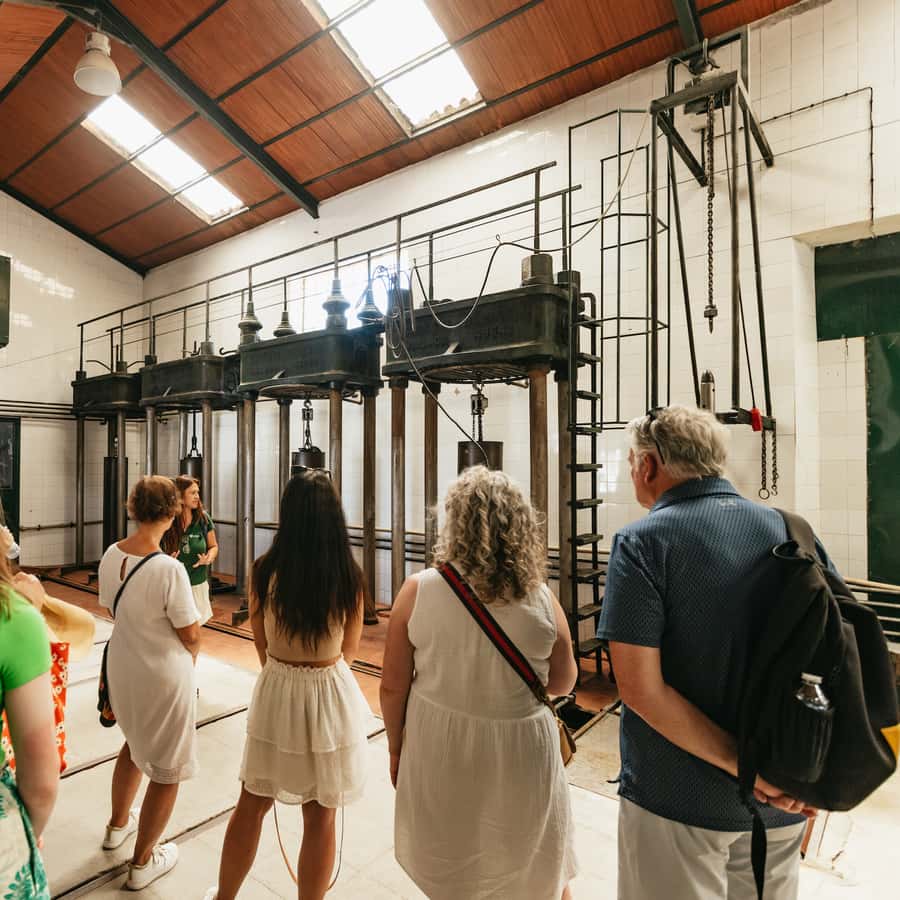 Galerie média