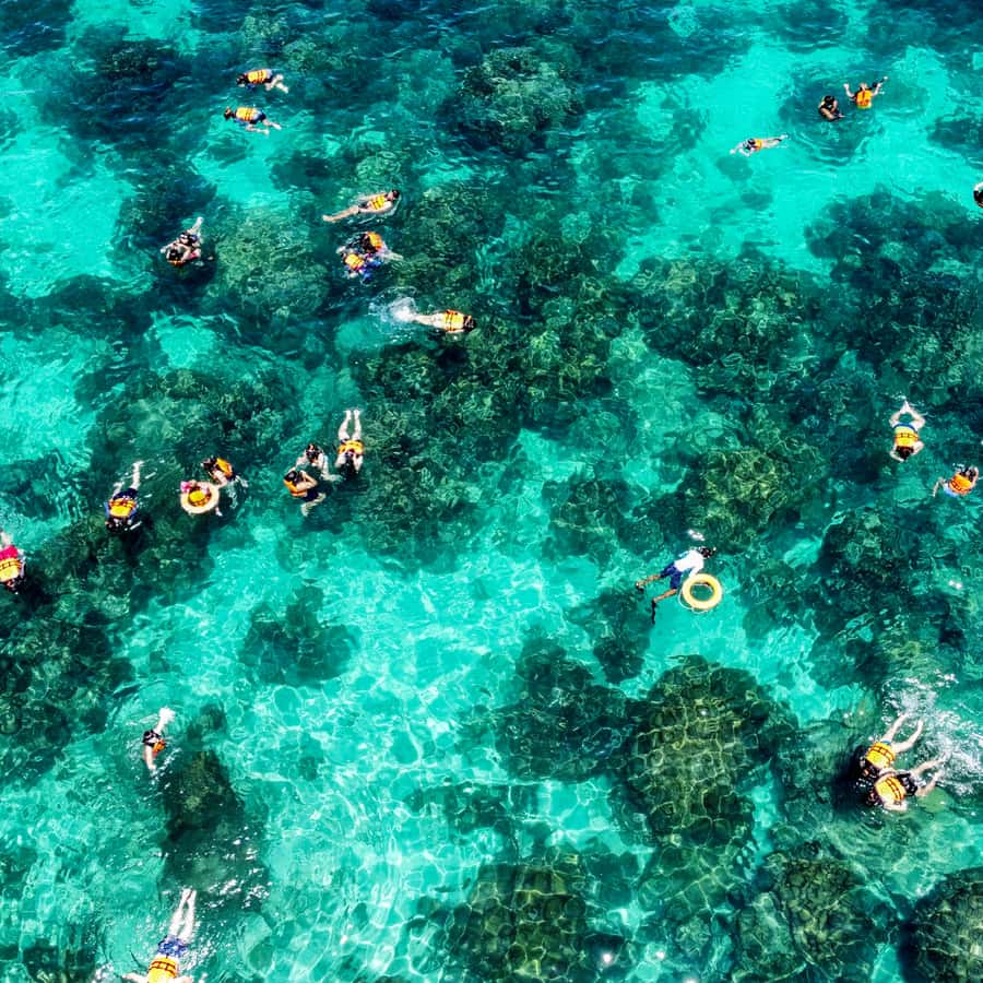 Phuket: Maya, Phi Phi, and Bamboo Island with Buffet Lunch