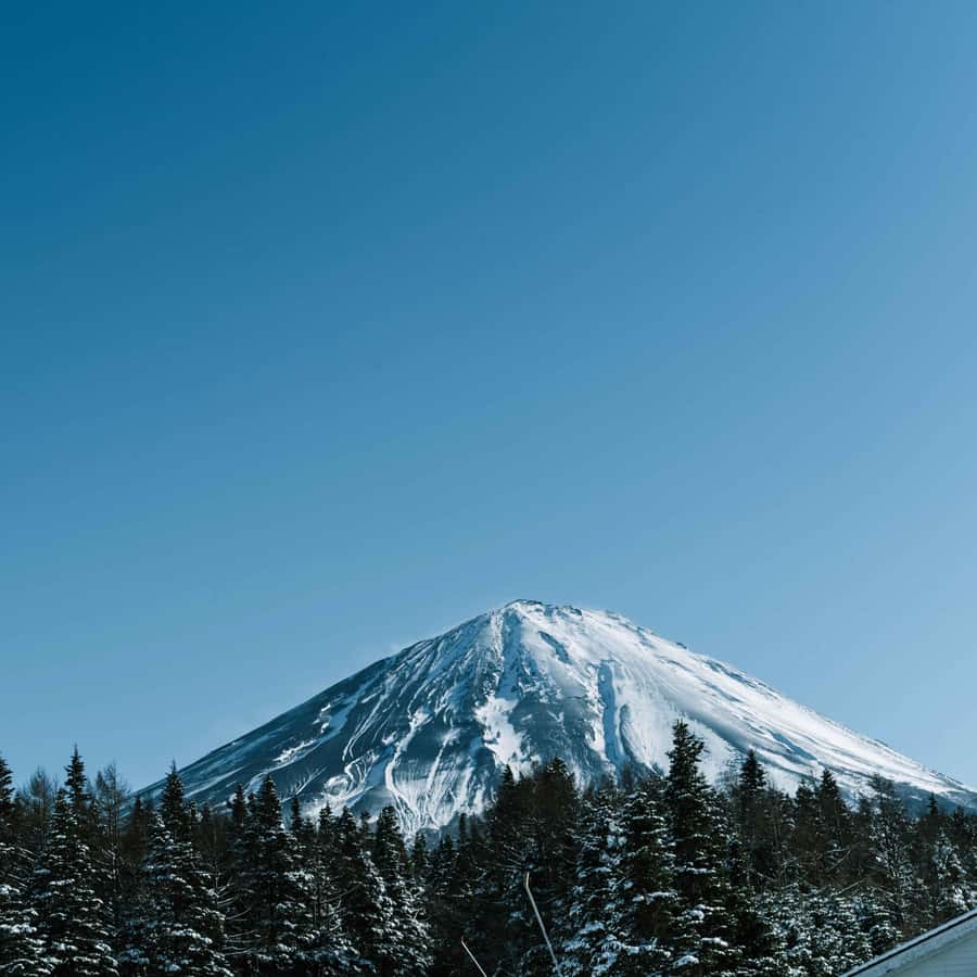 From Tokyo: Fujiyama Snow Resort Yeti Winter Ski Day Tour