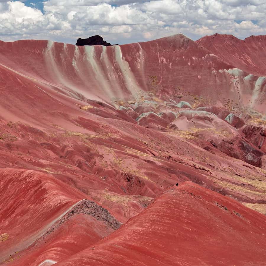 Galería de fotos para redes
