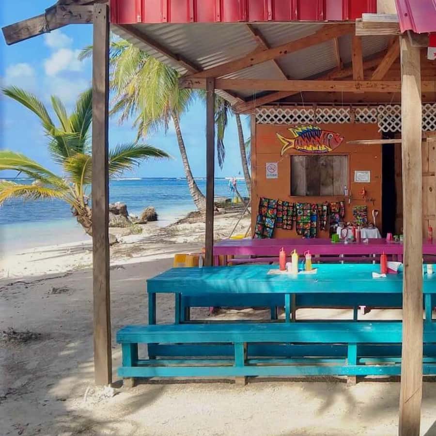 Galería de fotos para redes