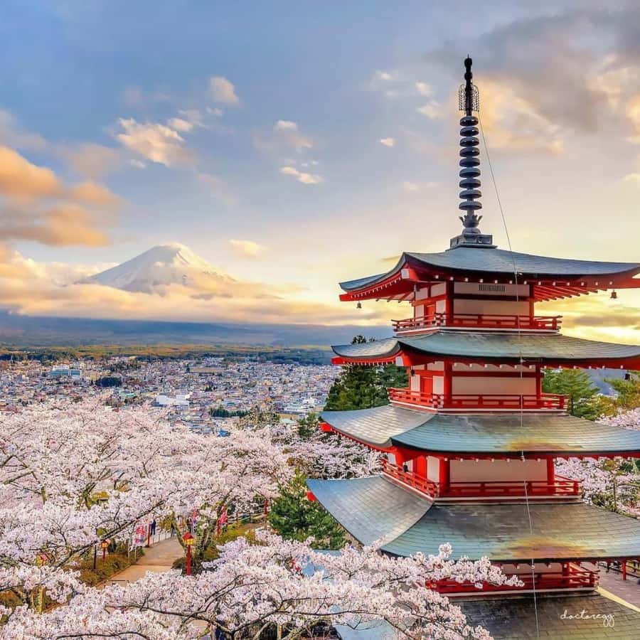 Tokyo: Unmissbale Private Tour To Mount Fuji in Vellfire