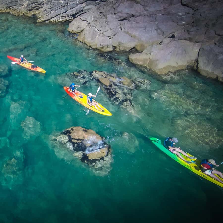 Galería de fotos para redes