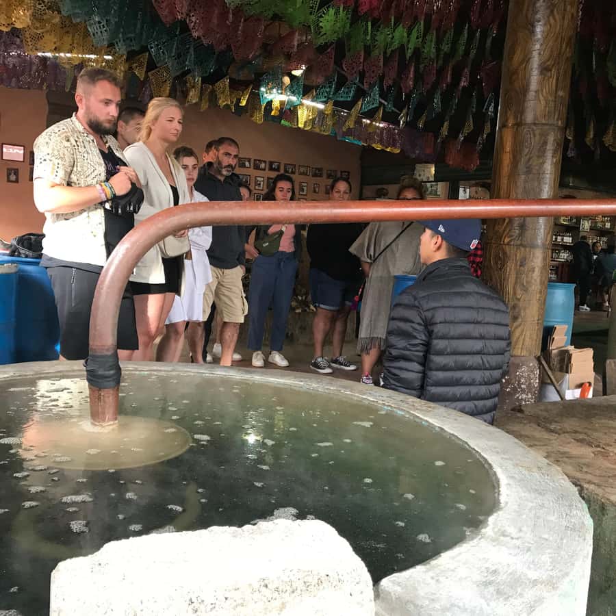 Galería de fotos para redes