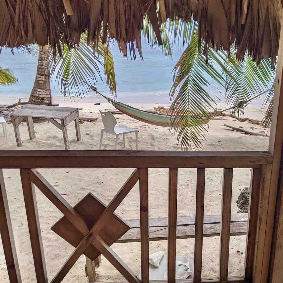 Galería de fotos para redes