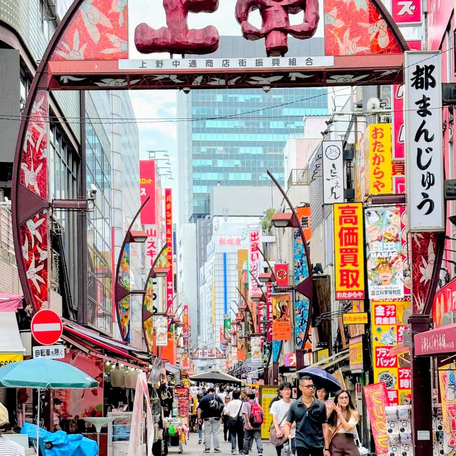 Awesome Private Tour: Tsukiji, Asakusa, Shinjuku, Shibuya