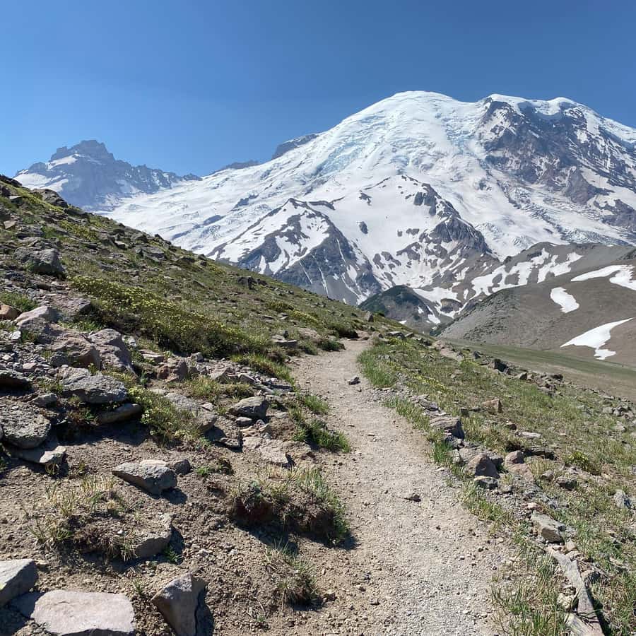 Mount Rainier: Day Hike on the Mountain