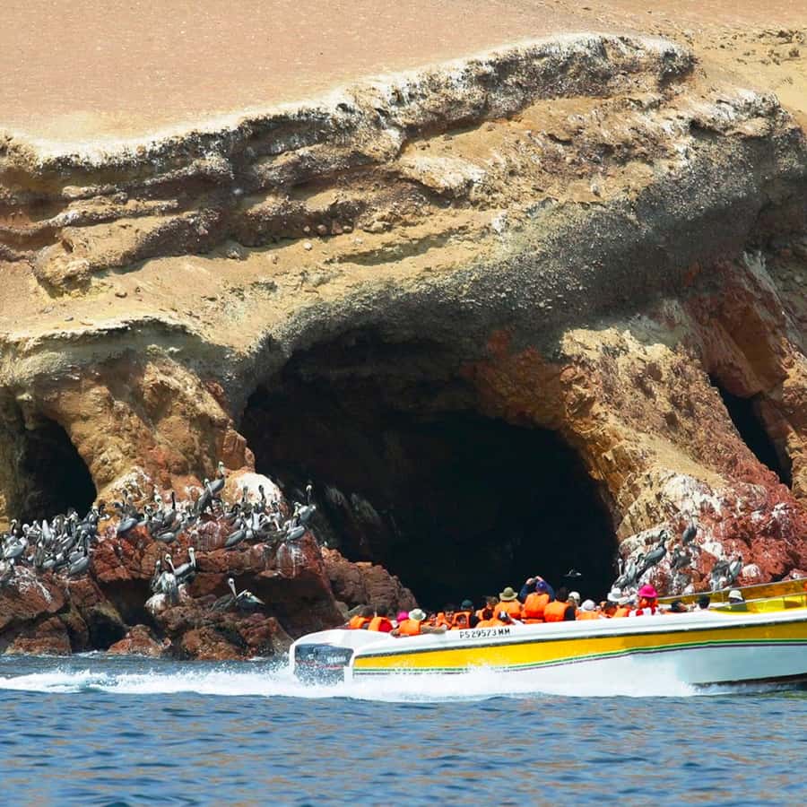 Galería de fotos para redes