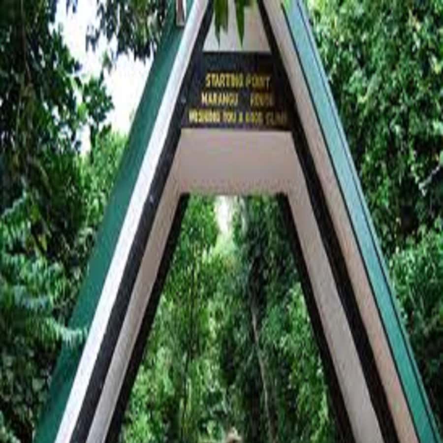 Colagem de mídia