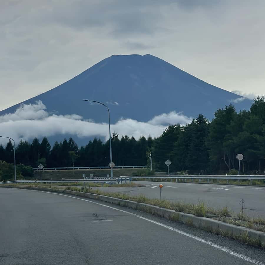 メディア コラージュ