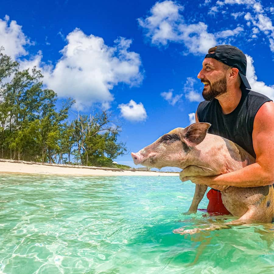 Nassau: Pigs Beach Trip by Boat with Swimming and Feeding