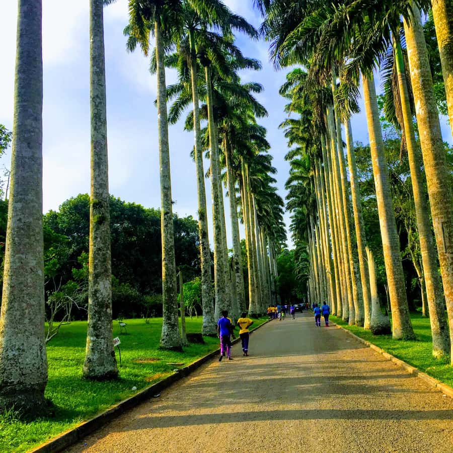 Nature Thrills | GetYourGuide