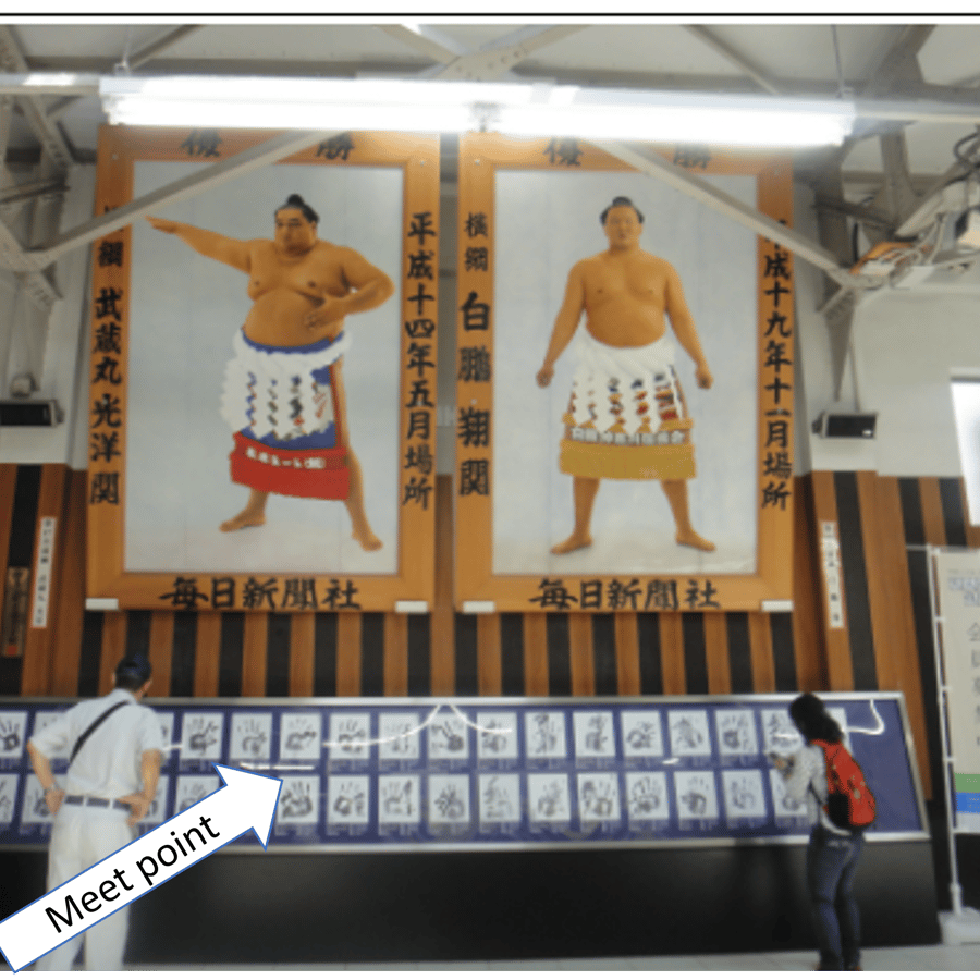 Grand Sumo Tournament w/ a Licenced Guide [Seat B】Jan. 2026