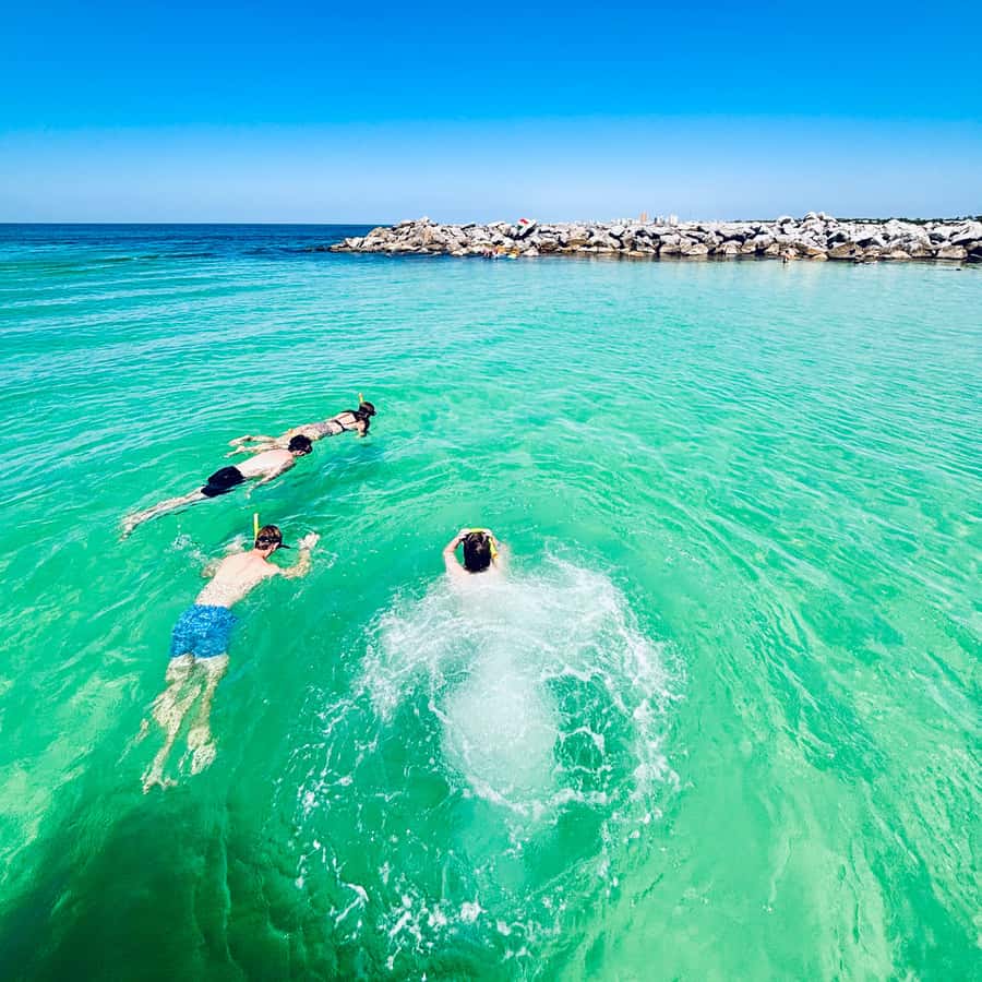 Panama City Beach: Snorkel Excursion with Good Jibez Only