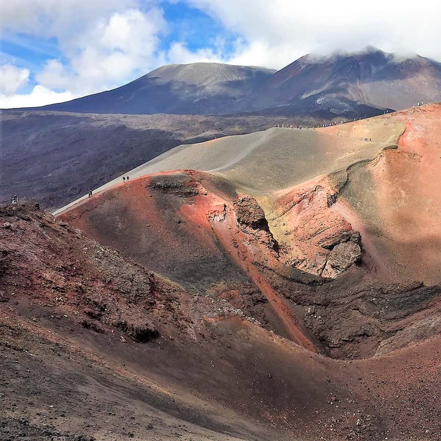Galería de fotos para redes