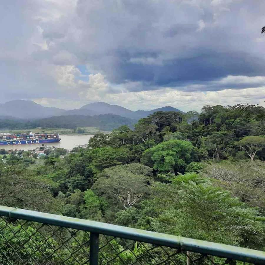 Colagem de mídia
