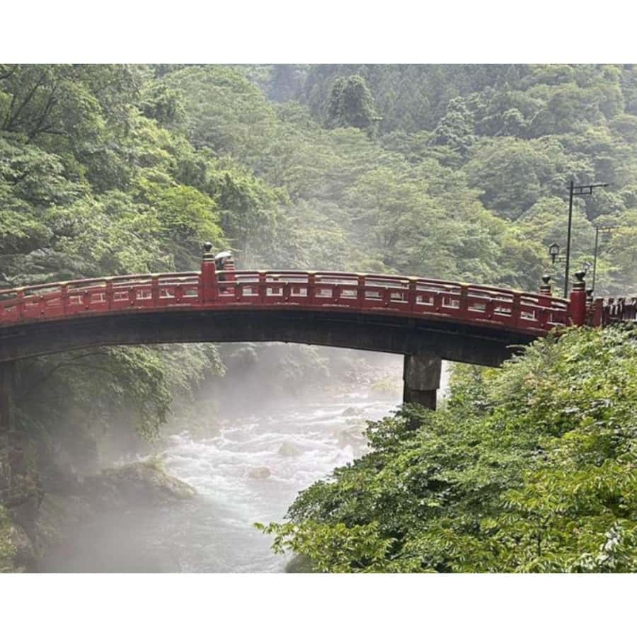 東京：高級ランドクルーザーで行く日光プライベート観光ツアー