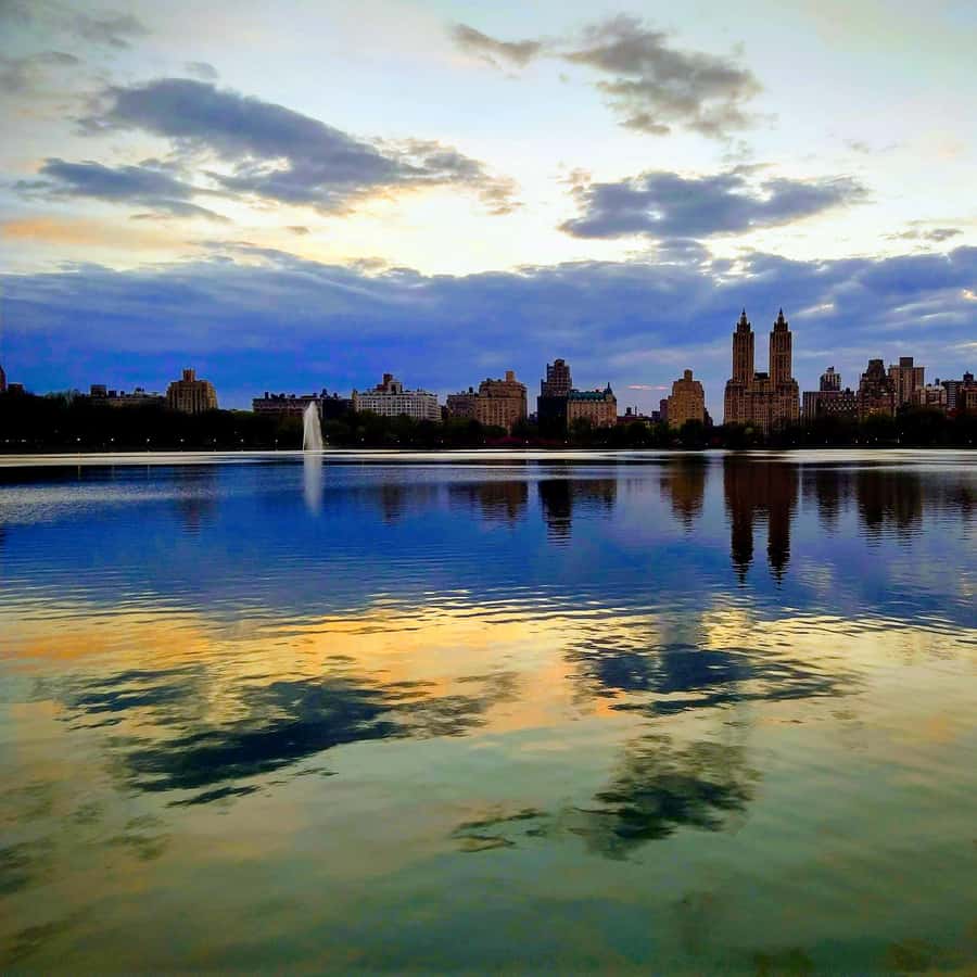 Carnegie Hill: 5th Park Film and Fiction Walking Tour GetYourGuide