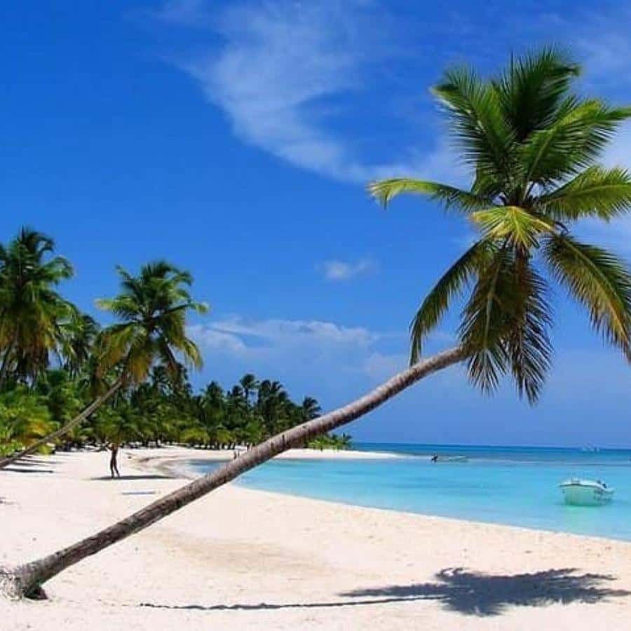 All-Inclusive Excursion to Saona Island from Punta Cana: Lunch and Open Bar