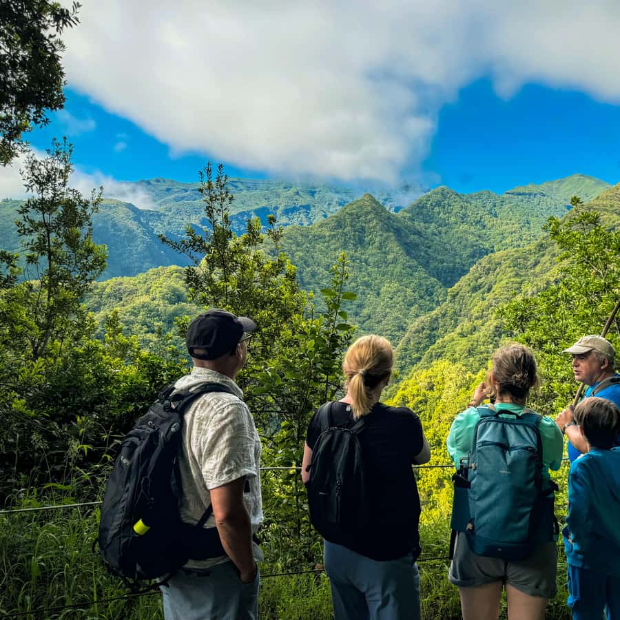 Hiking Madeira: Levada do Rei and the Majestic Laurissilva
